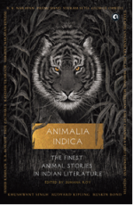 Picture Credit: Aleph