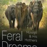 Picture Credit: Aleph